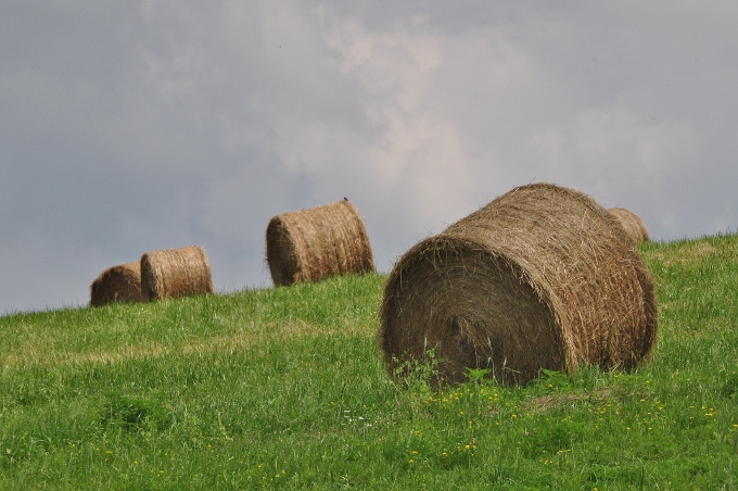 hay bale in Ohio Amish farmland